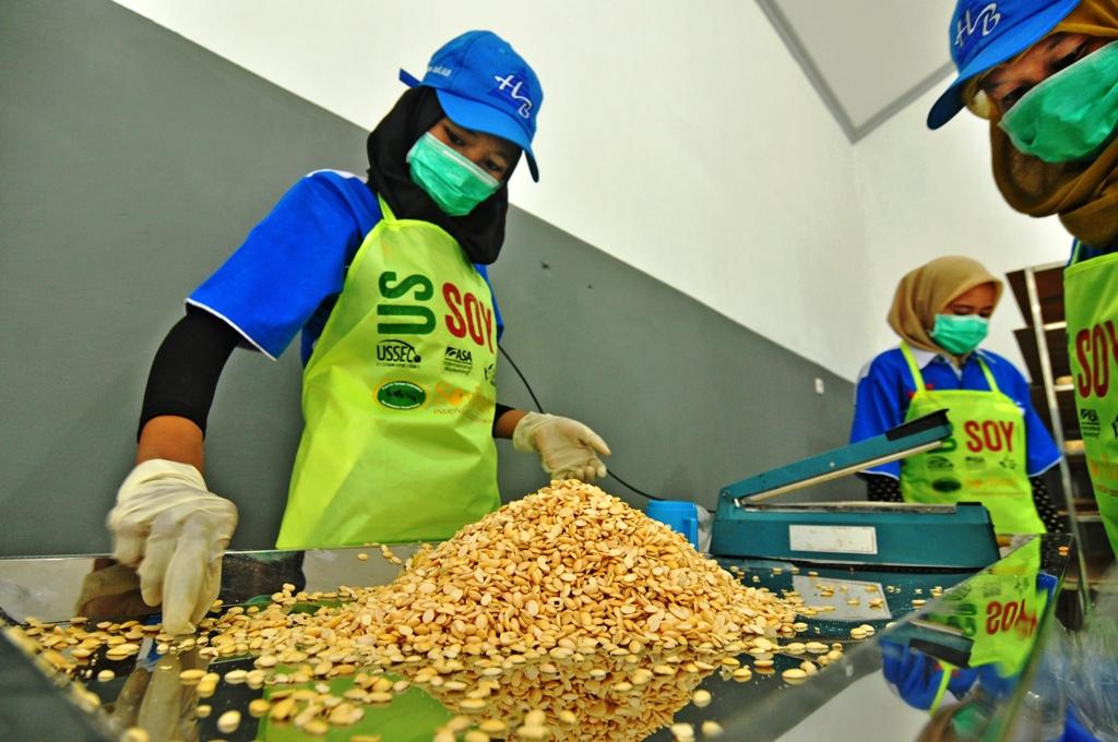Produksi Tempe