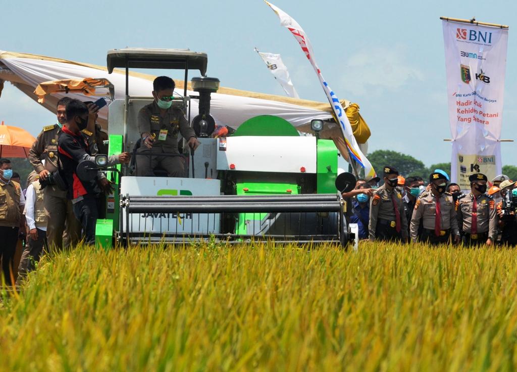 Produktivitas Pertanian