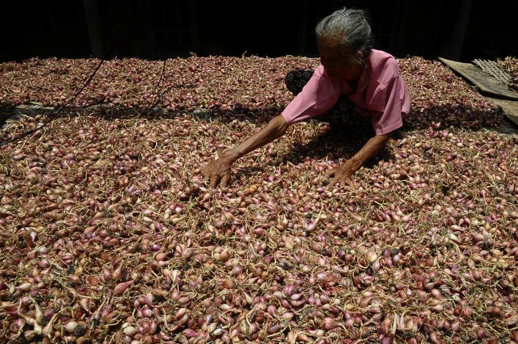 Bawang Merah Mahal