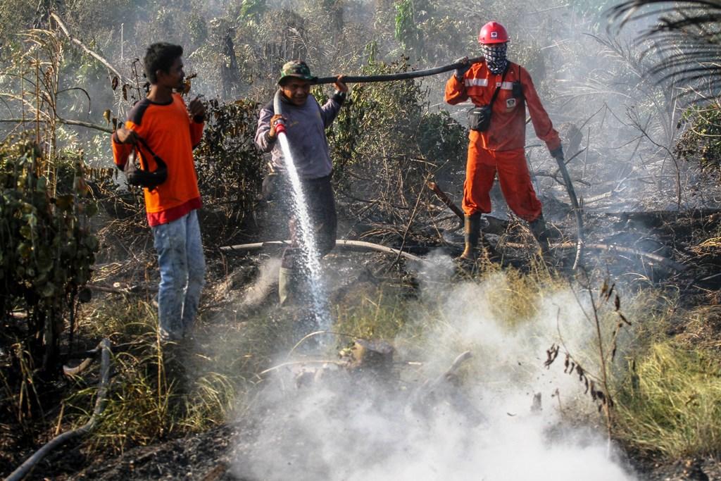 GAMBUT TERBAKAR LAGI