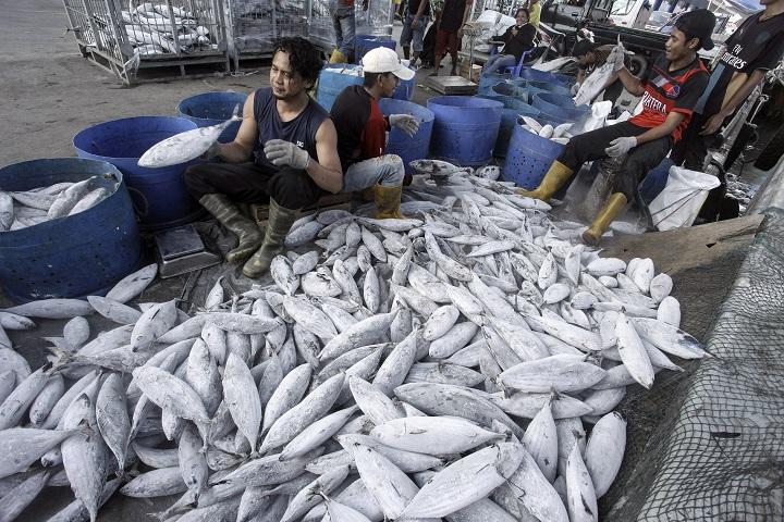 Target Produksi Ikan