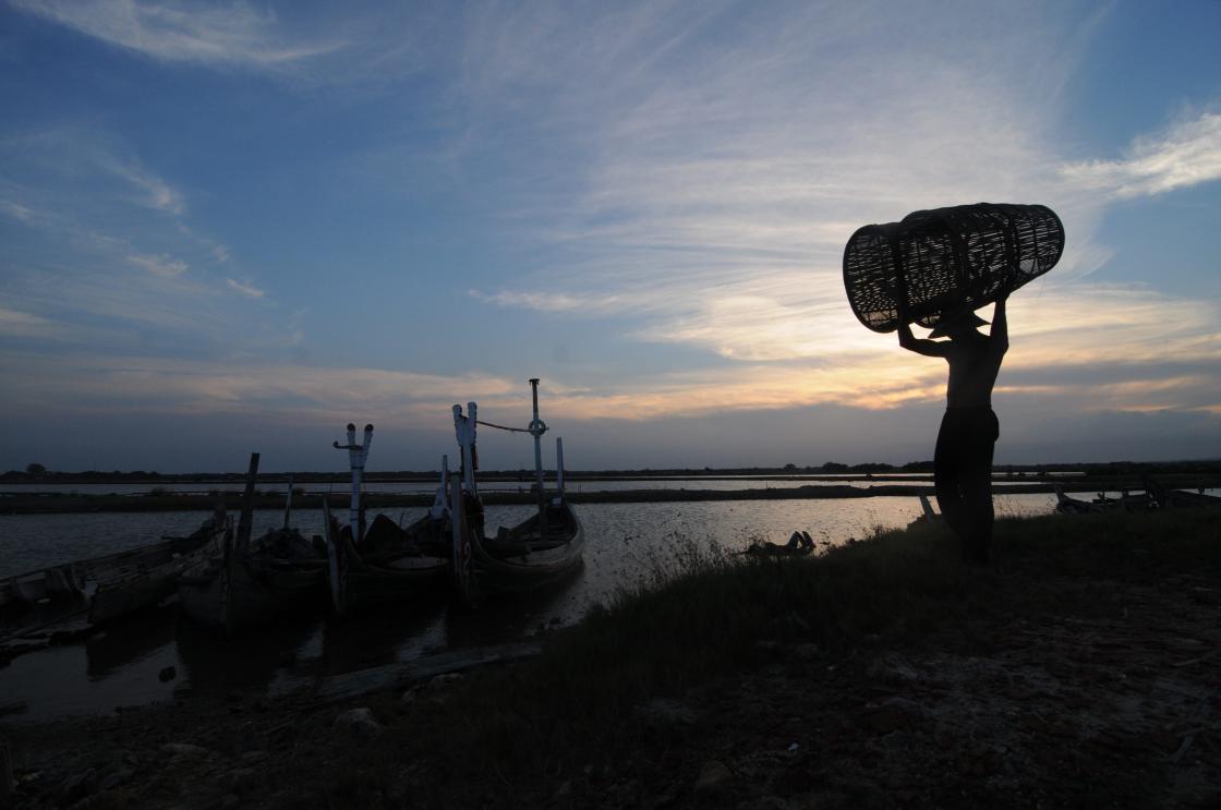 Mencari Udang
