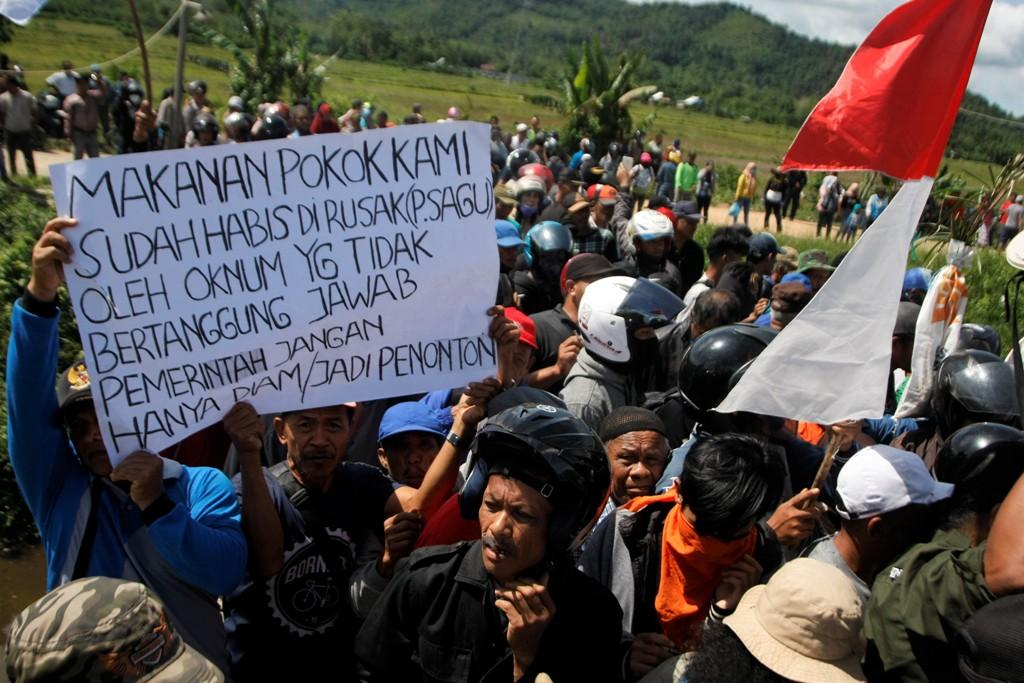 PETANI SAGU DIGUSUR SAWIT