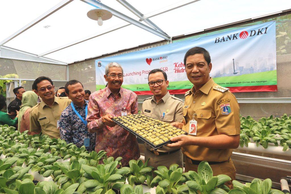 Fasilitasi Kebun Hidroponik