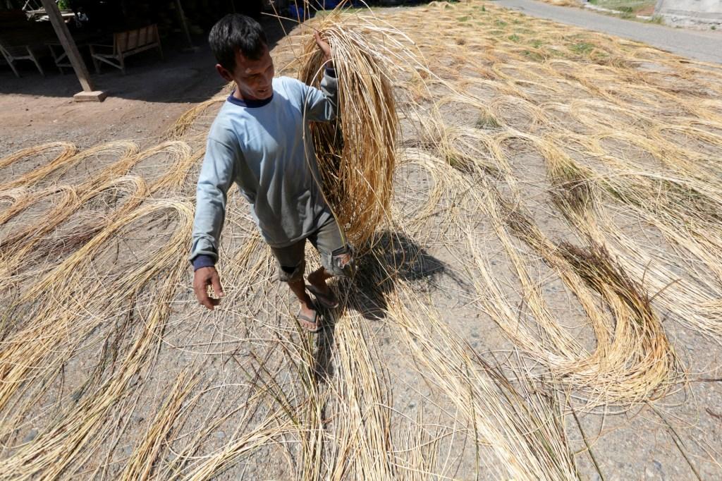 Industri Rotan