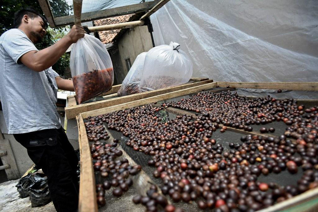 Olahan Kopi