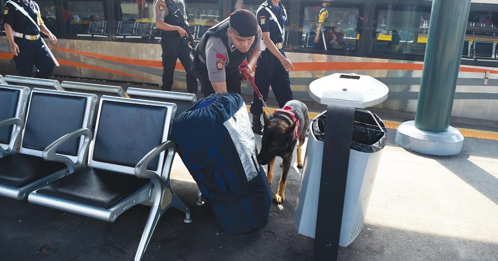 Gunakan Anjing Pelacak