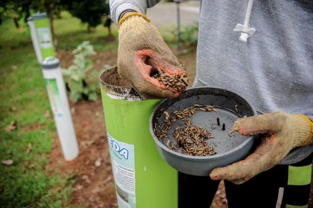 "Urban Farming"
