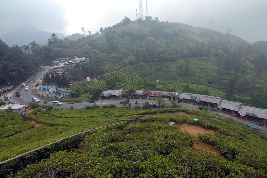 Ganjil Genap Puncak