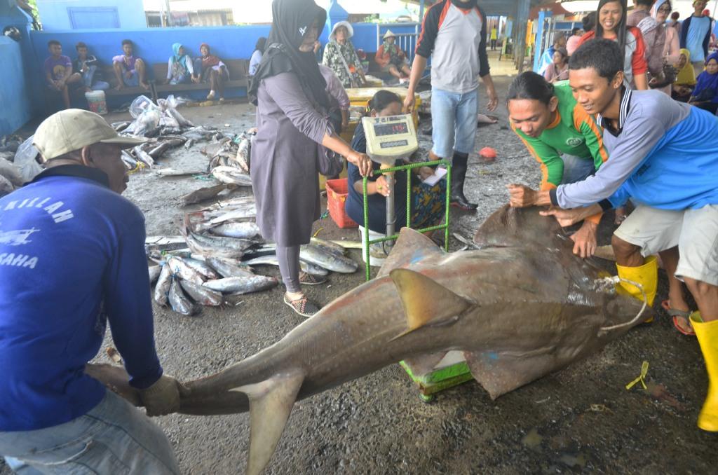 Terdampak Cuaca Buruk