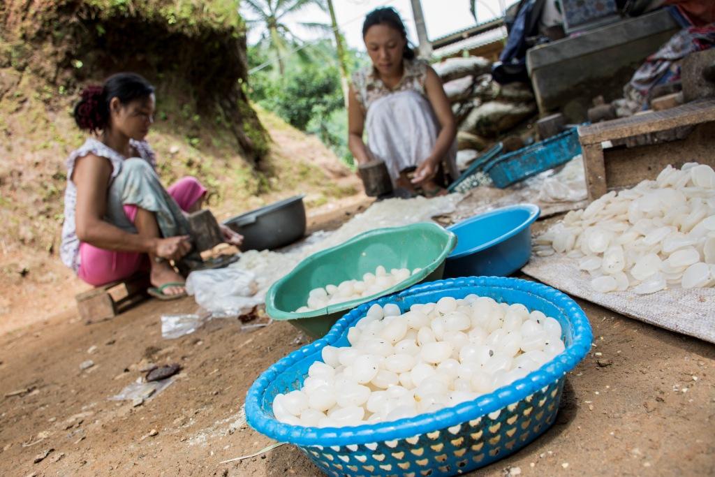 Produksi Kolang Kaling
