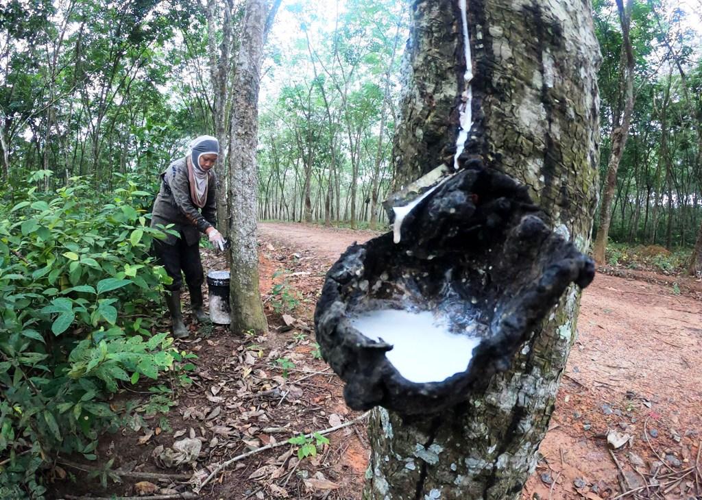 Harga Komoditas Turun
