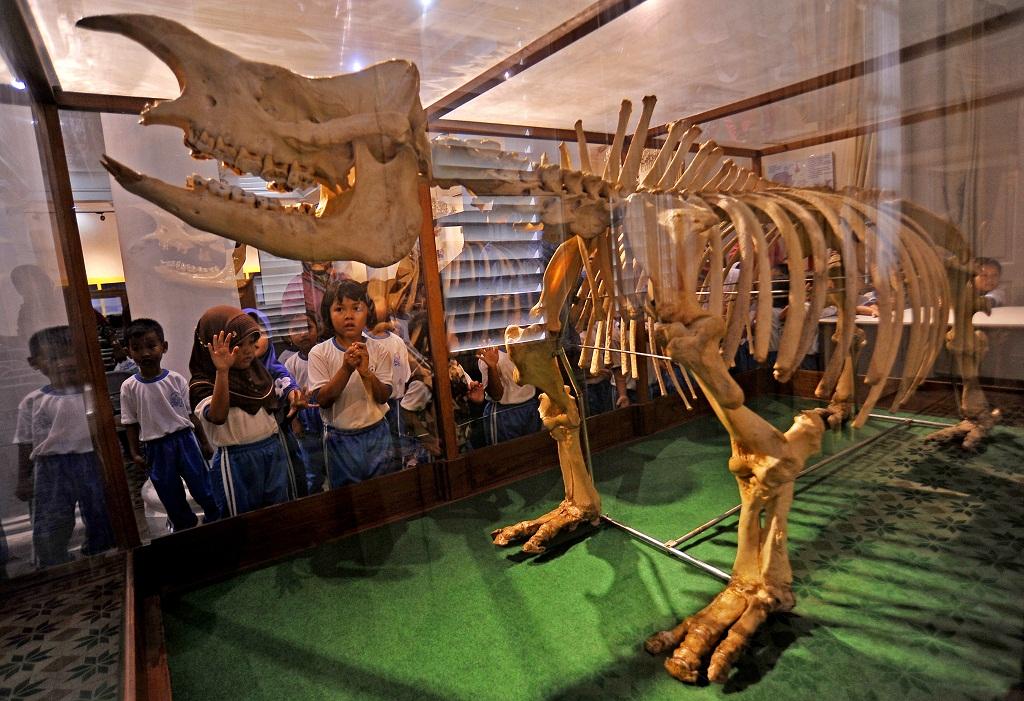 Belajar di Museum