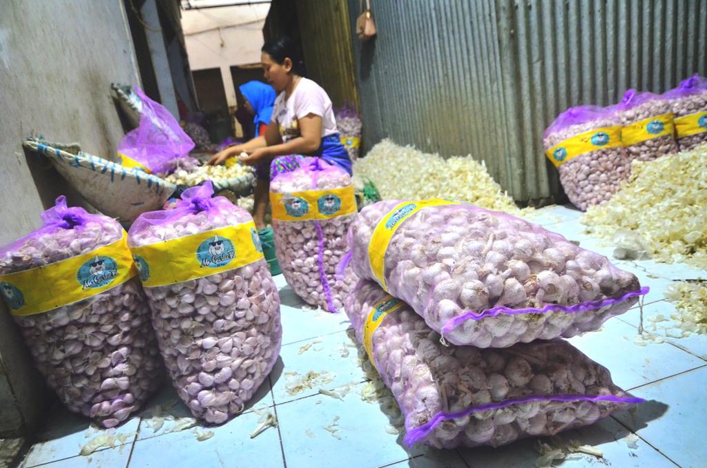 HARGA BAWANG MELONJAK