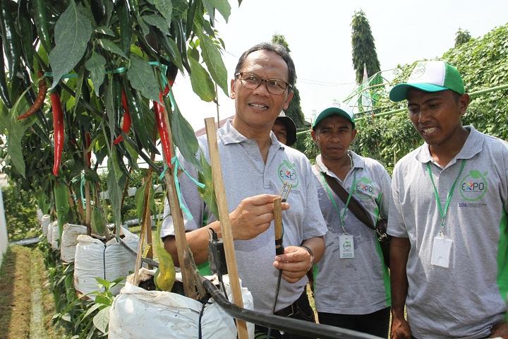 Edukasi Teknologi
