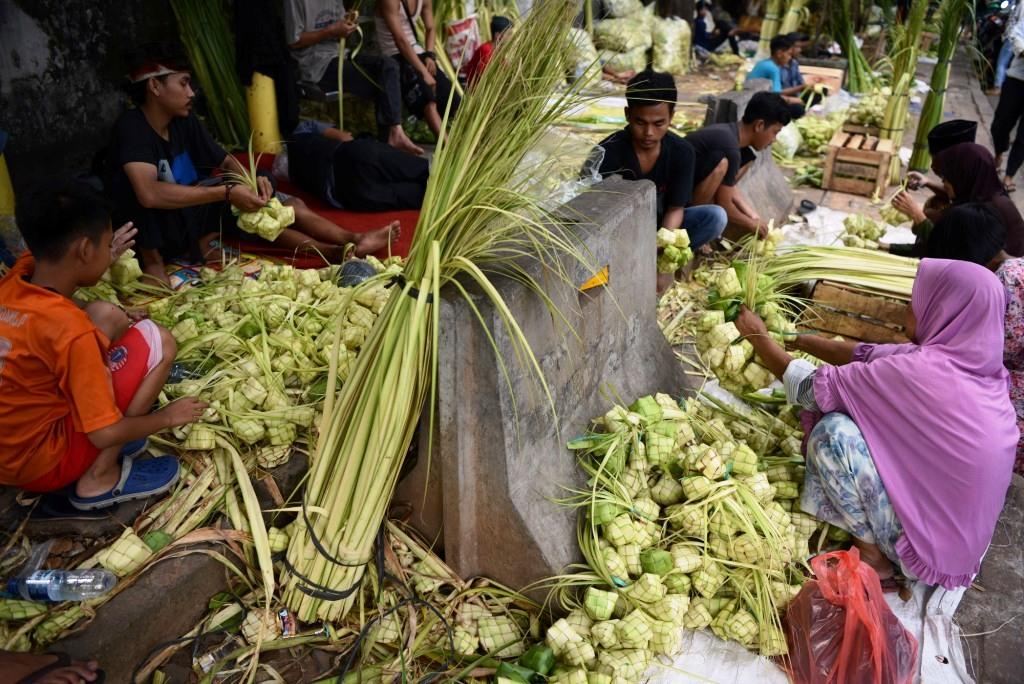 Kulit Ketupat