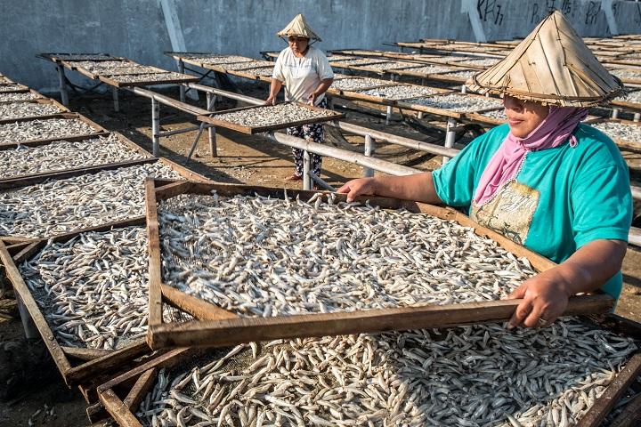 Penurunan Harga