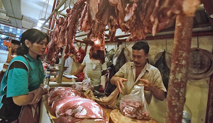 Kebutuhan Daging Sapi
