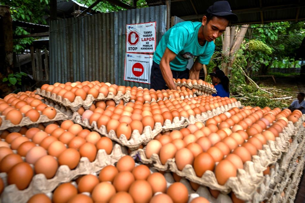 Harga Naik