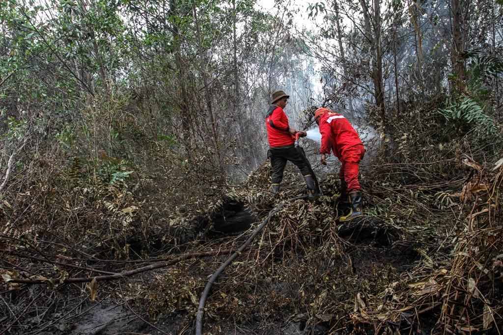 Lahan Gambut Kembali Terbakar