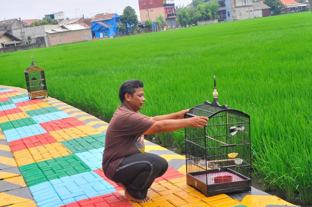 Penataan Kampung