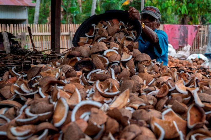 Harga Kopra Turun