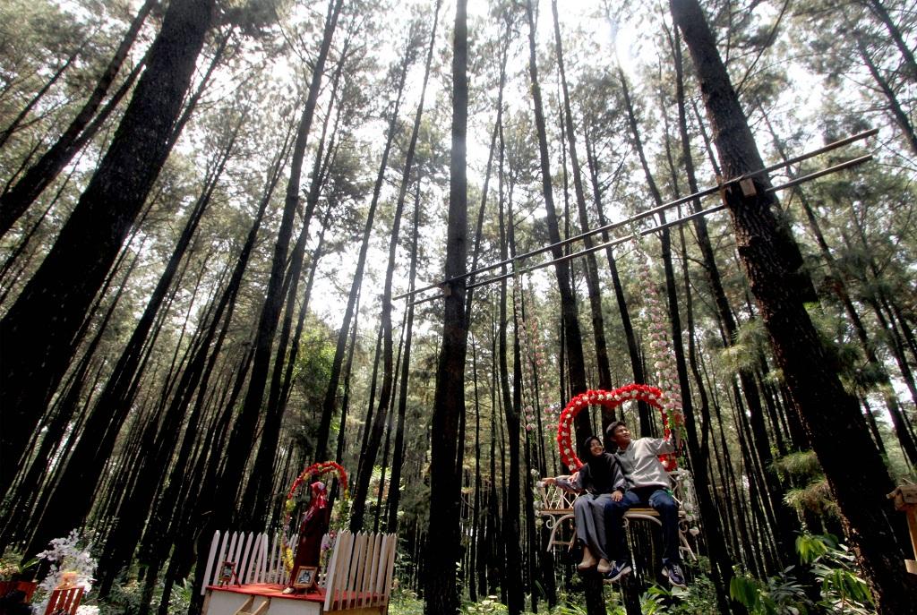 Program Hutan Sosial