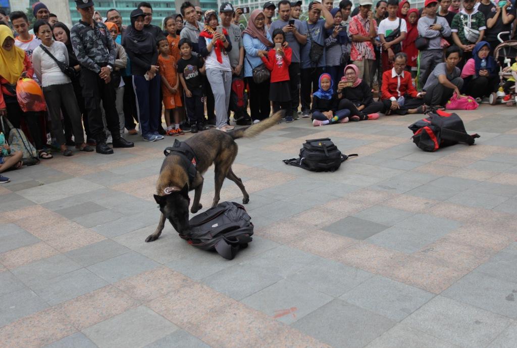 Deteksi Bahan Peledak
