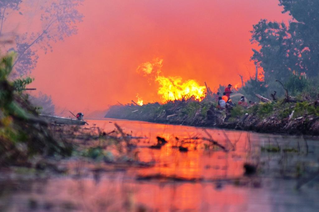 LAHAN GAMBUT TERBAKAR