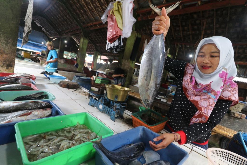 Pasokan Ikan Terbatas