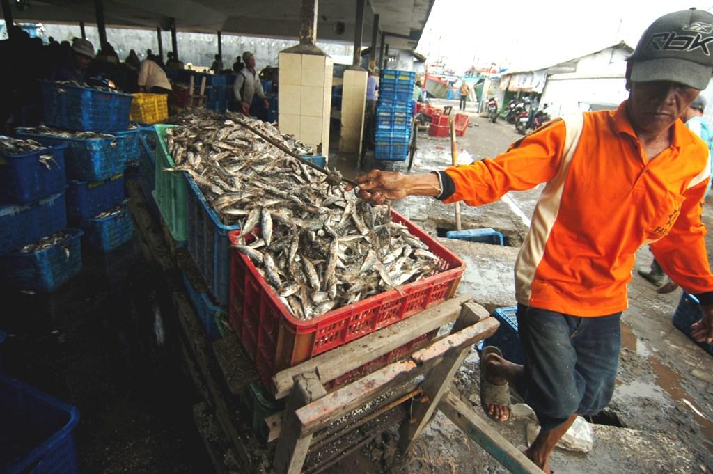 Harga Ikan Naik