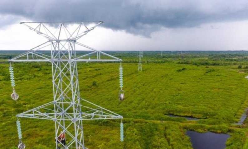 PLN Nyalakan Listrik Delapan Desa di Perbatasan Kalbar