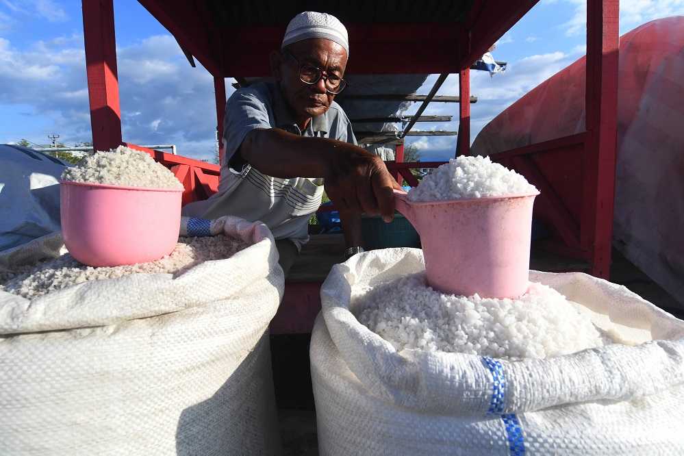 Produksi Garam