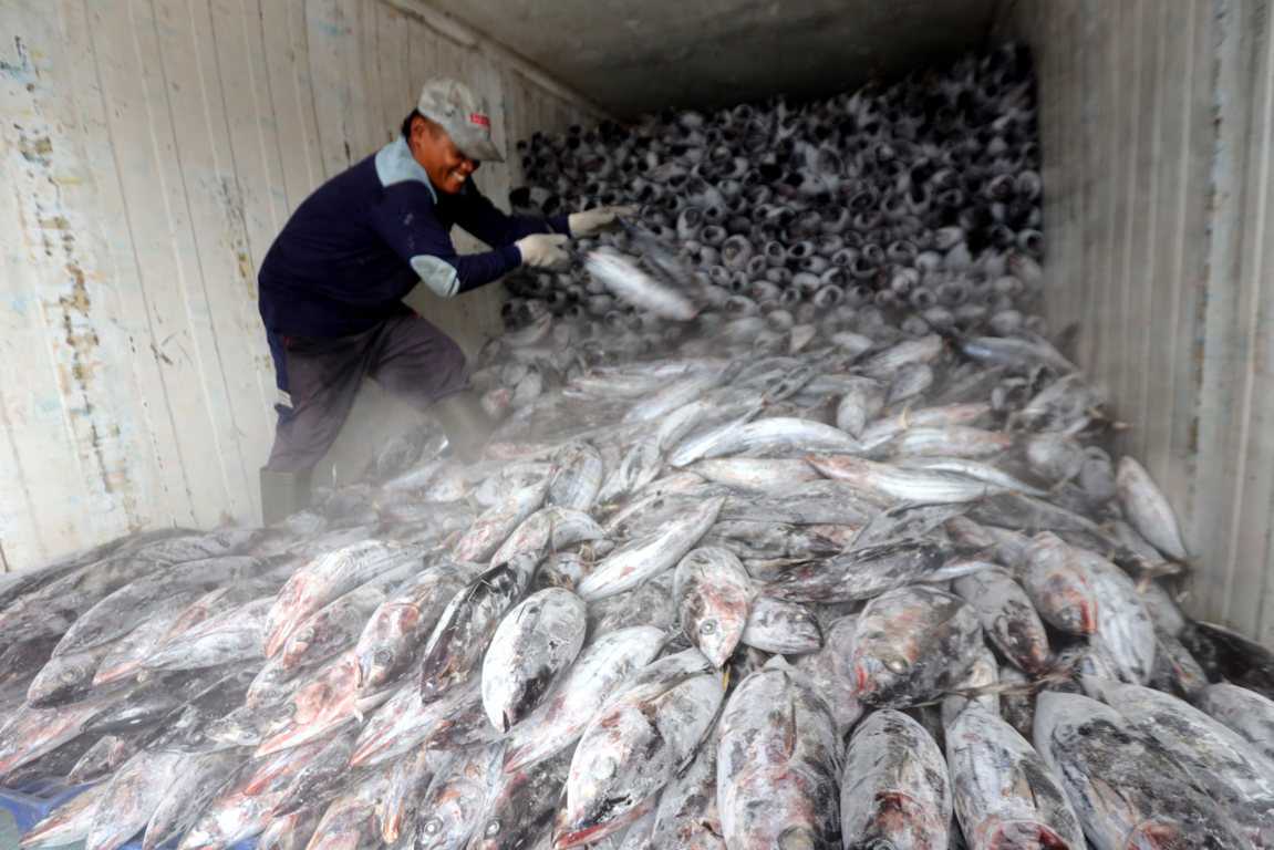 Produksi Ikan
