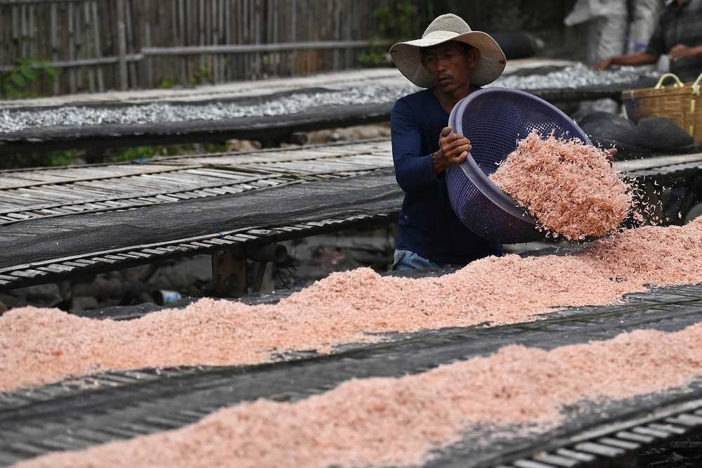 Produksi Ikan Asin