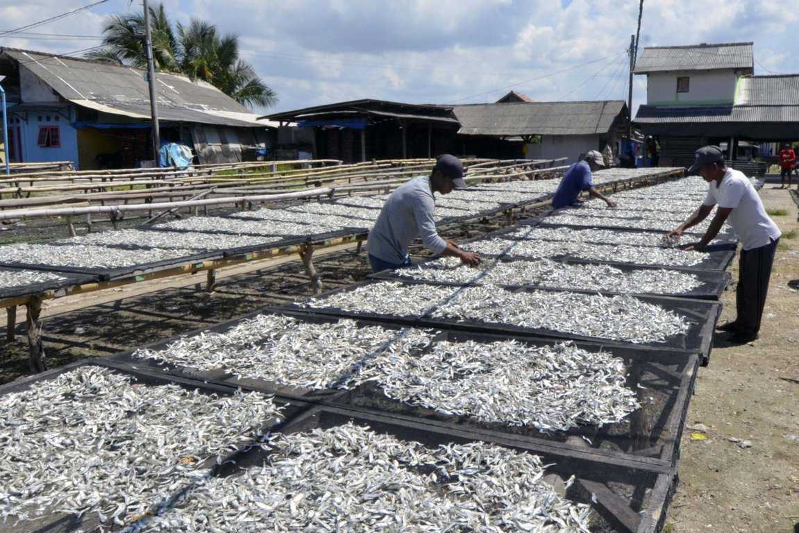 Produksi Ikan Asin