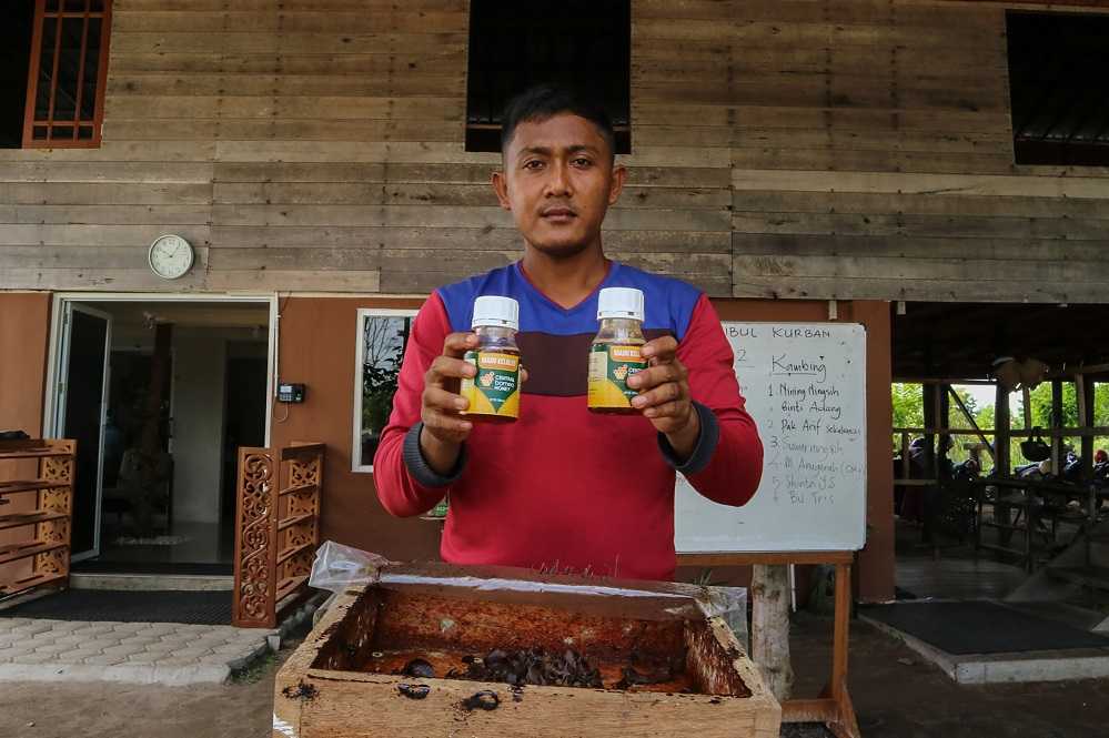 Produksi Madu