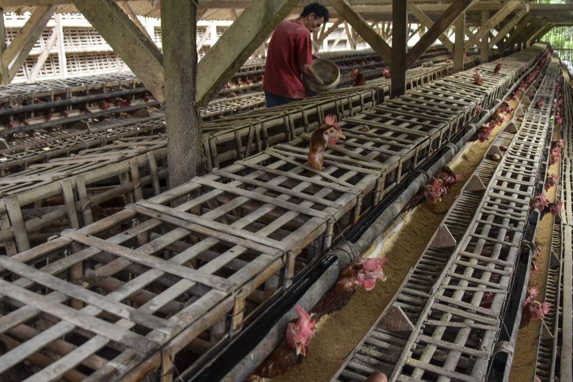 Produksi Turun