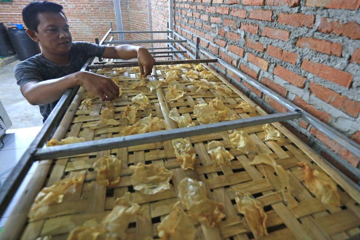 Program Padat Karya
