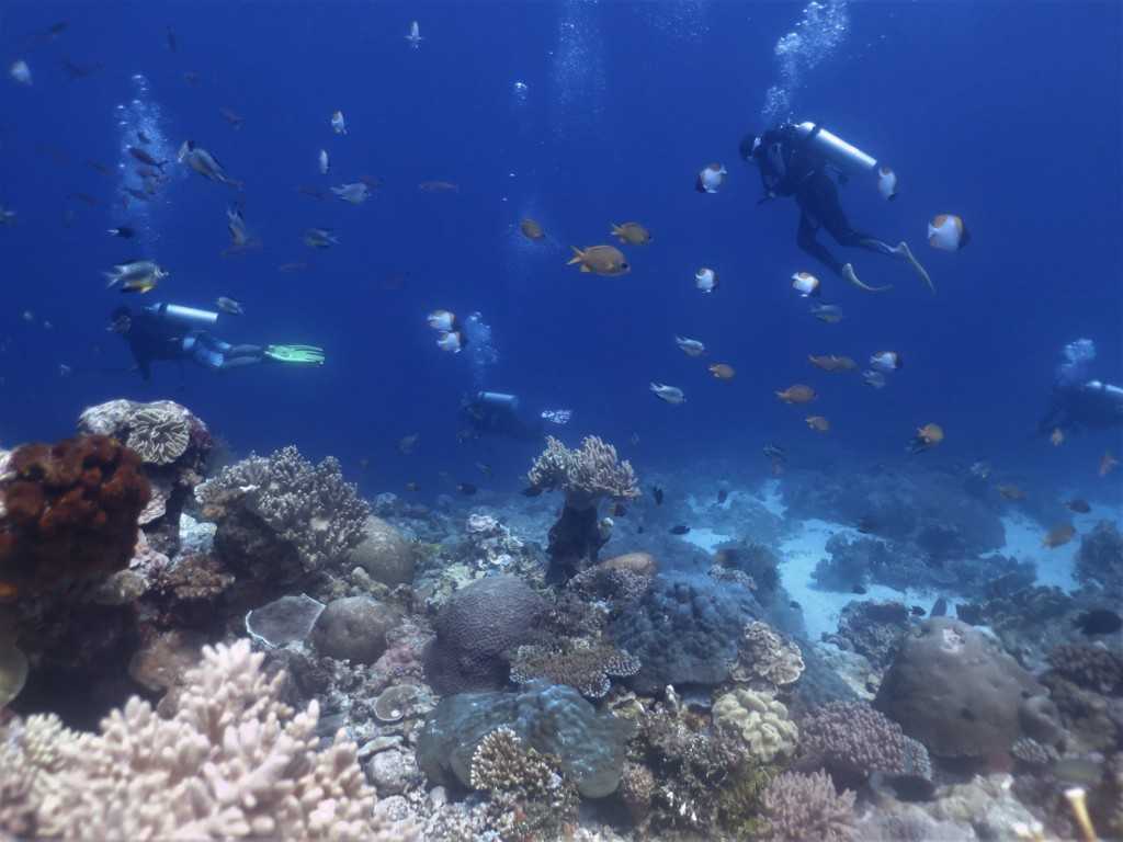 Promosi Wisata