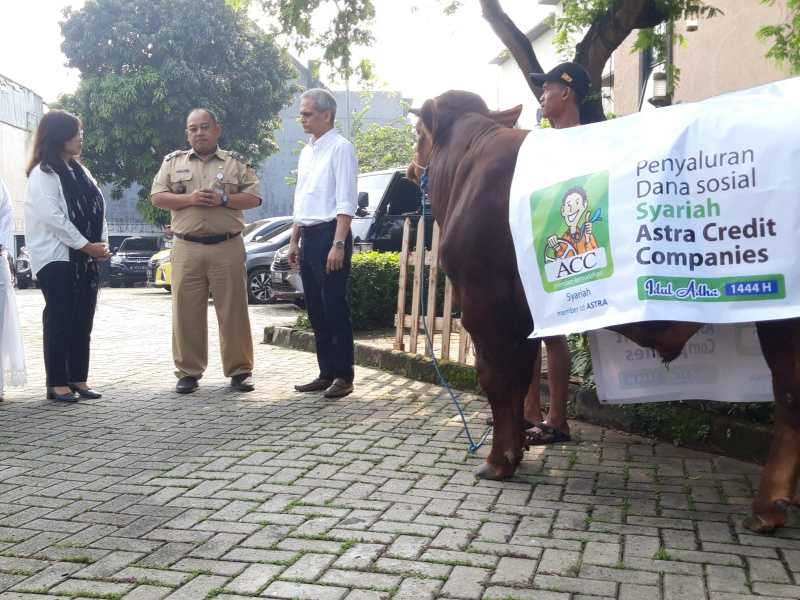 Sambut Idul adha 1444 H, ACC Salurkan Ratusan Hewan Kurban