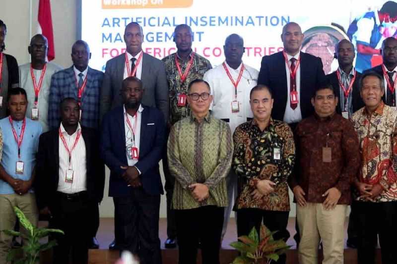 Sembilan Negara Afrika Belajar Inseminasi Buatan di Malang