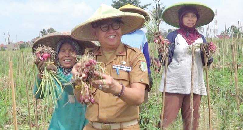 Sentra Produksi Bawang