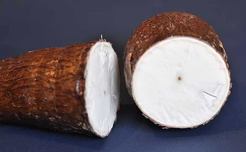 Sianida dalam Makanan, Bagaimana Standarnya untuk Keamanan Pangan
