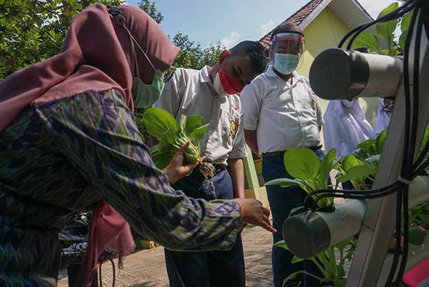 SLB Menanam Sayur
