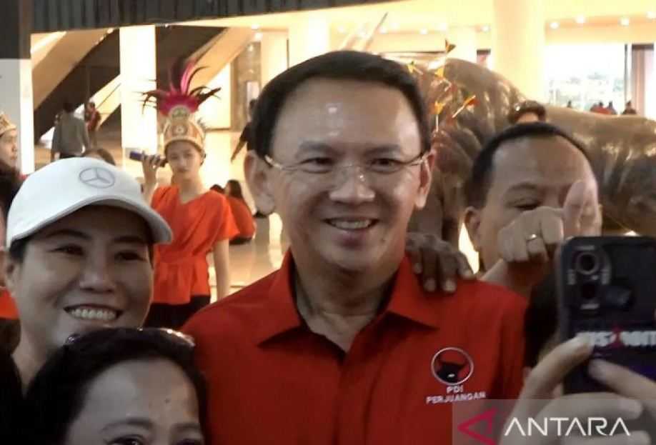 Soal Maju Pilkada Sumut, Ahok Tunggu Hasil Rakernas PDIP