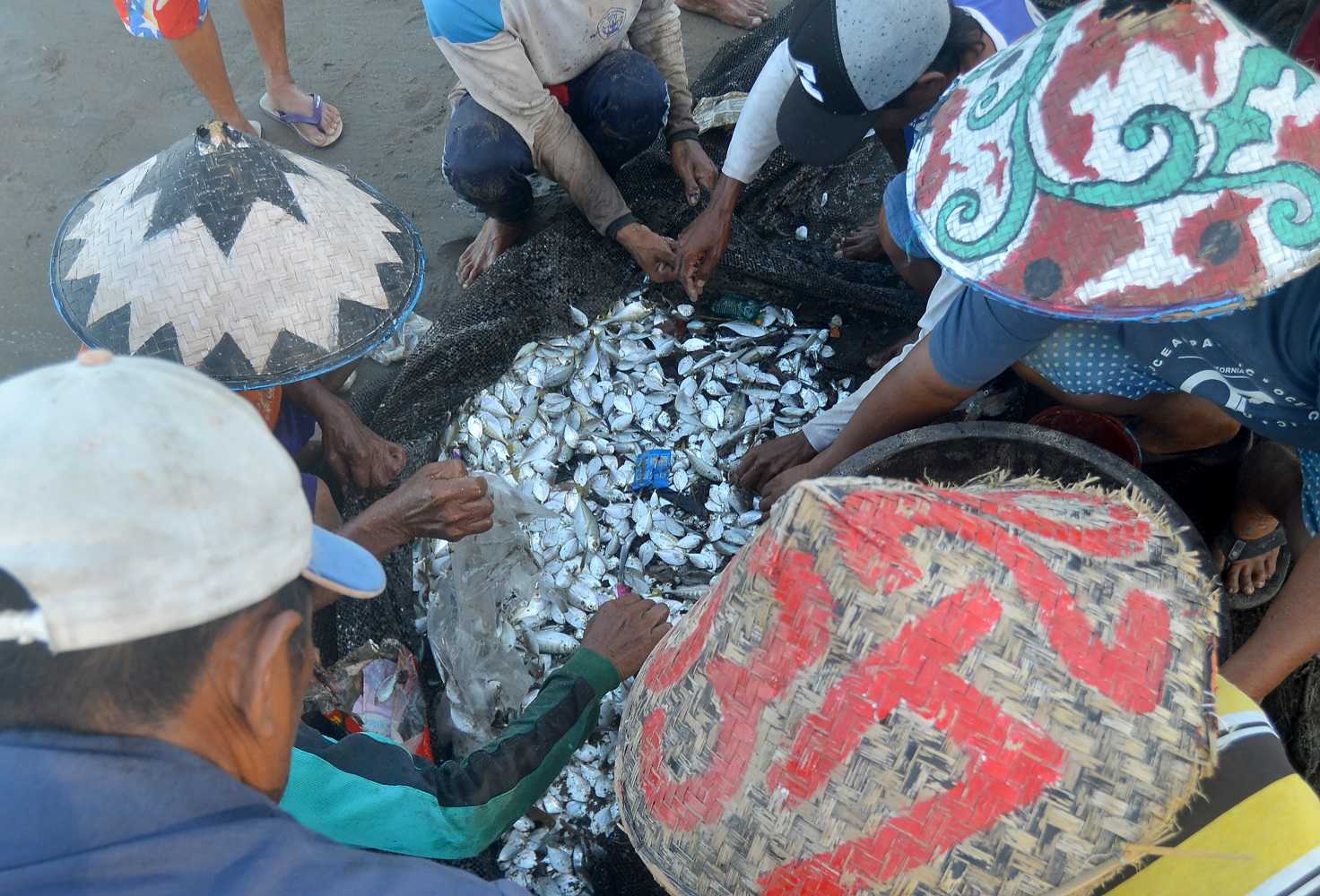 Tangkapan Ikan Naik