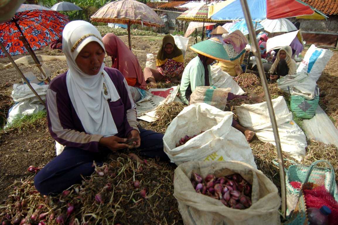 Target Produksi Naik