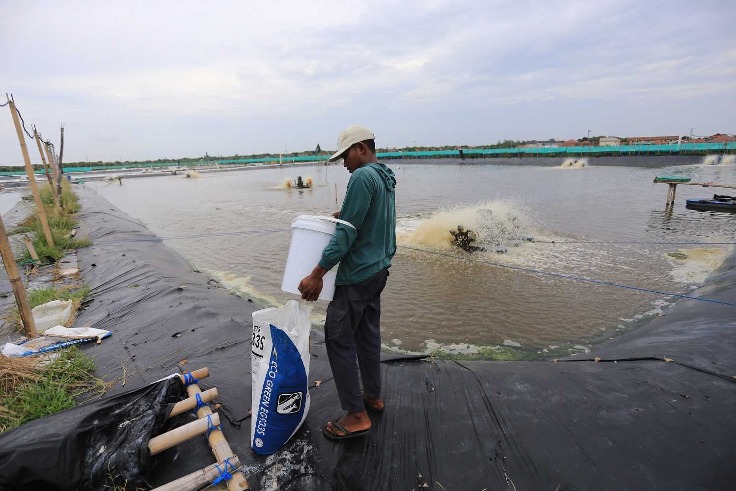 Target Produksi Ikan