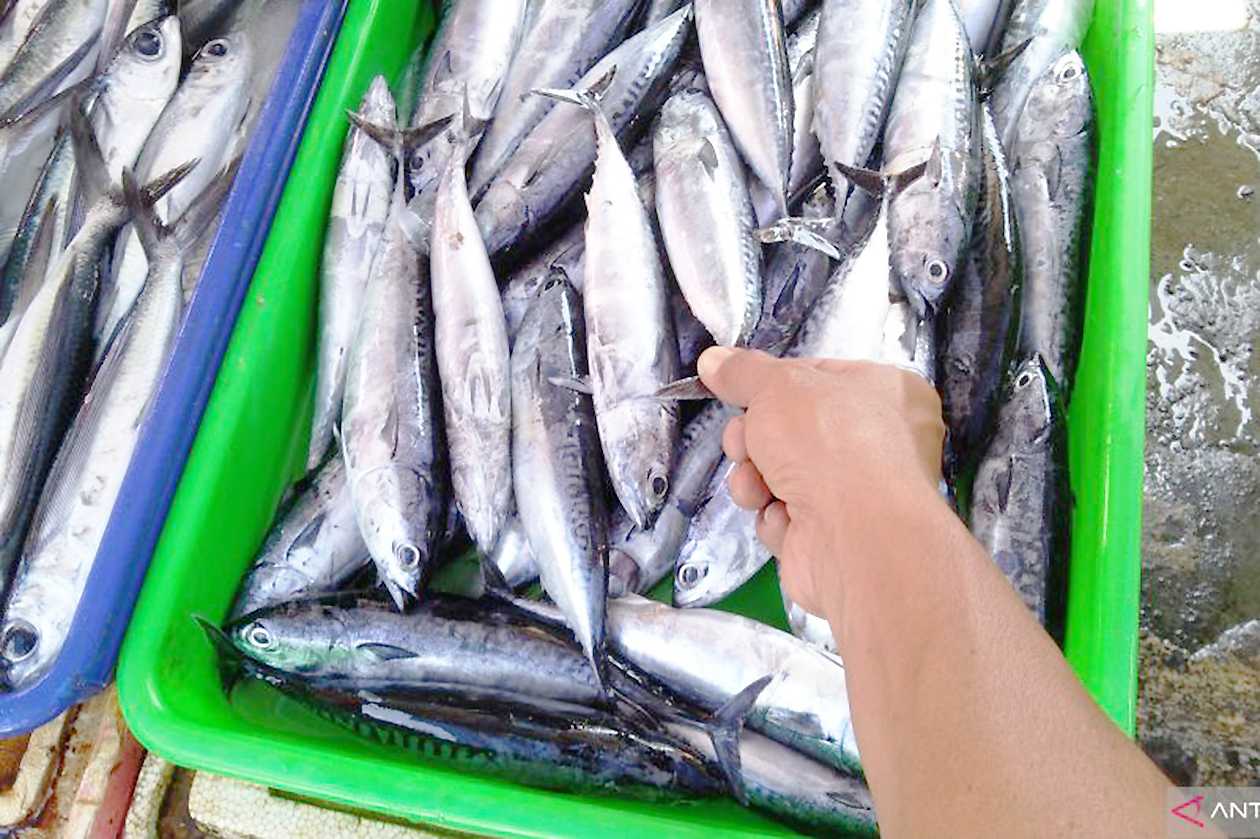 Tekan Balita Tengkes, DKP Bali Alokasikan Paket Makanan Ikan